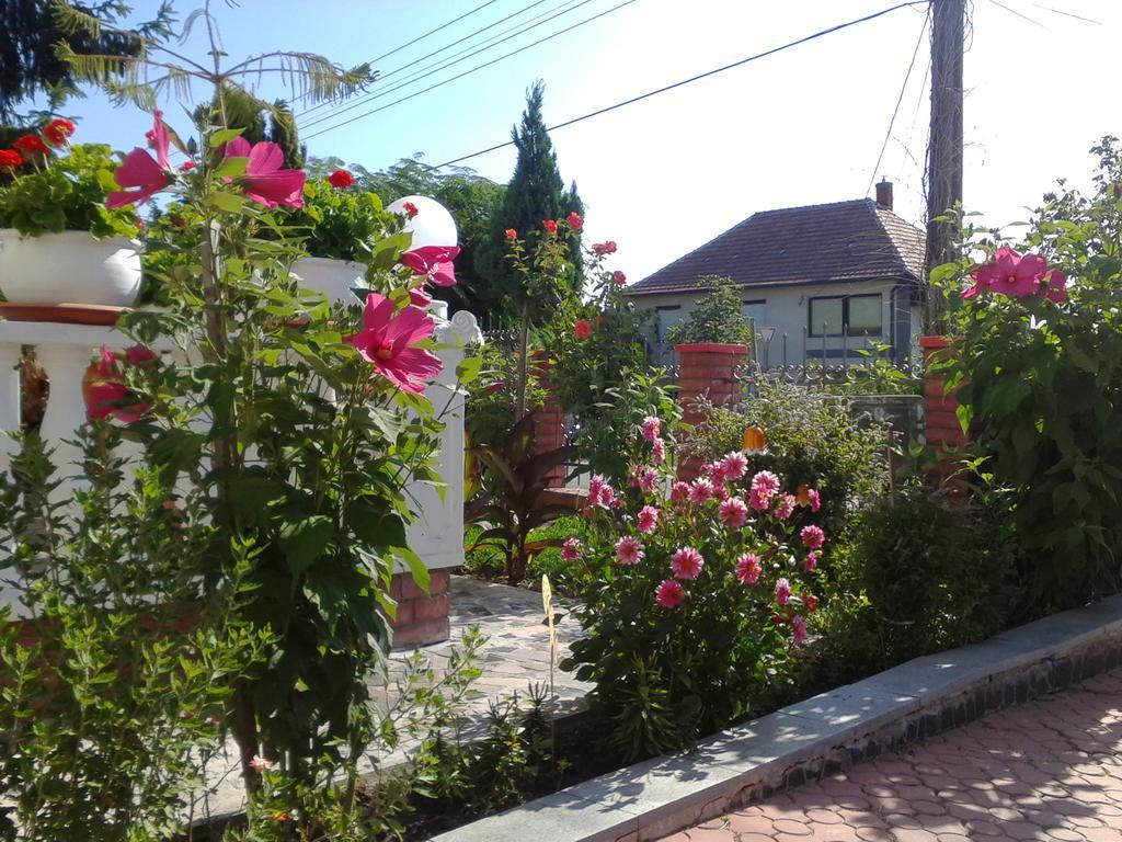 Kristaly Apartman Bed & Breakfast เฮวิซ ภายนอก รูปภาพ